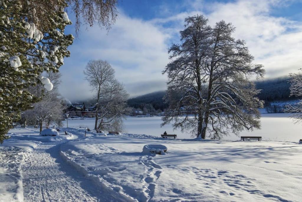 Waldblick Titisee エクステリア 写真