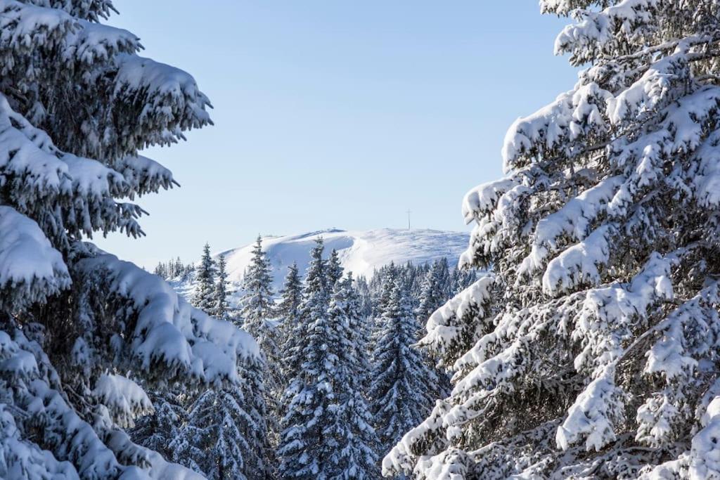 Waldblick Titisee エクステリア 写真