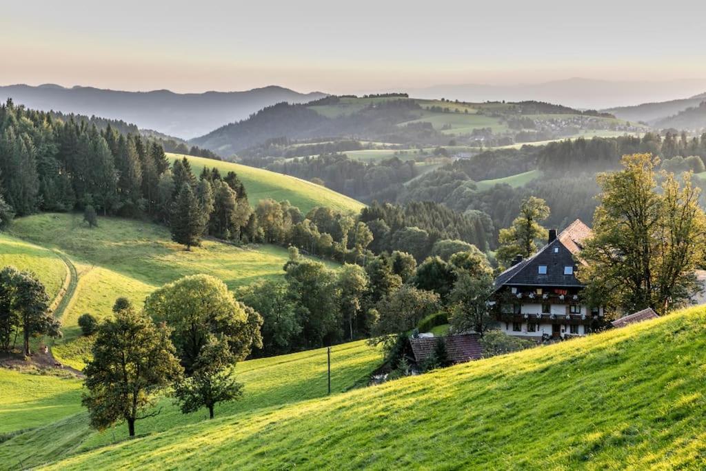 Waldblick Titisee エクステリア 写真