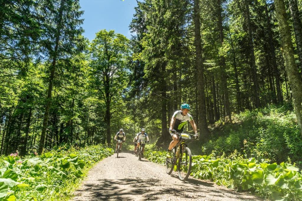 Waldblick Titisee エクステリア 写真